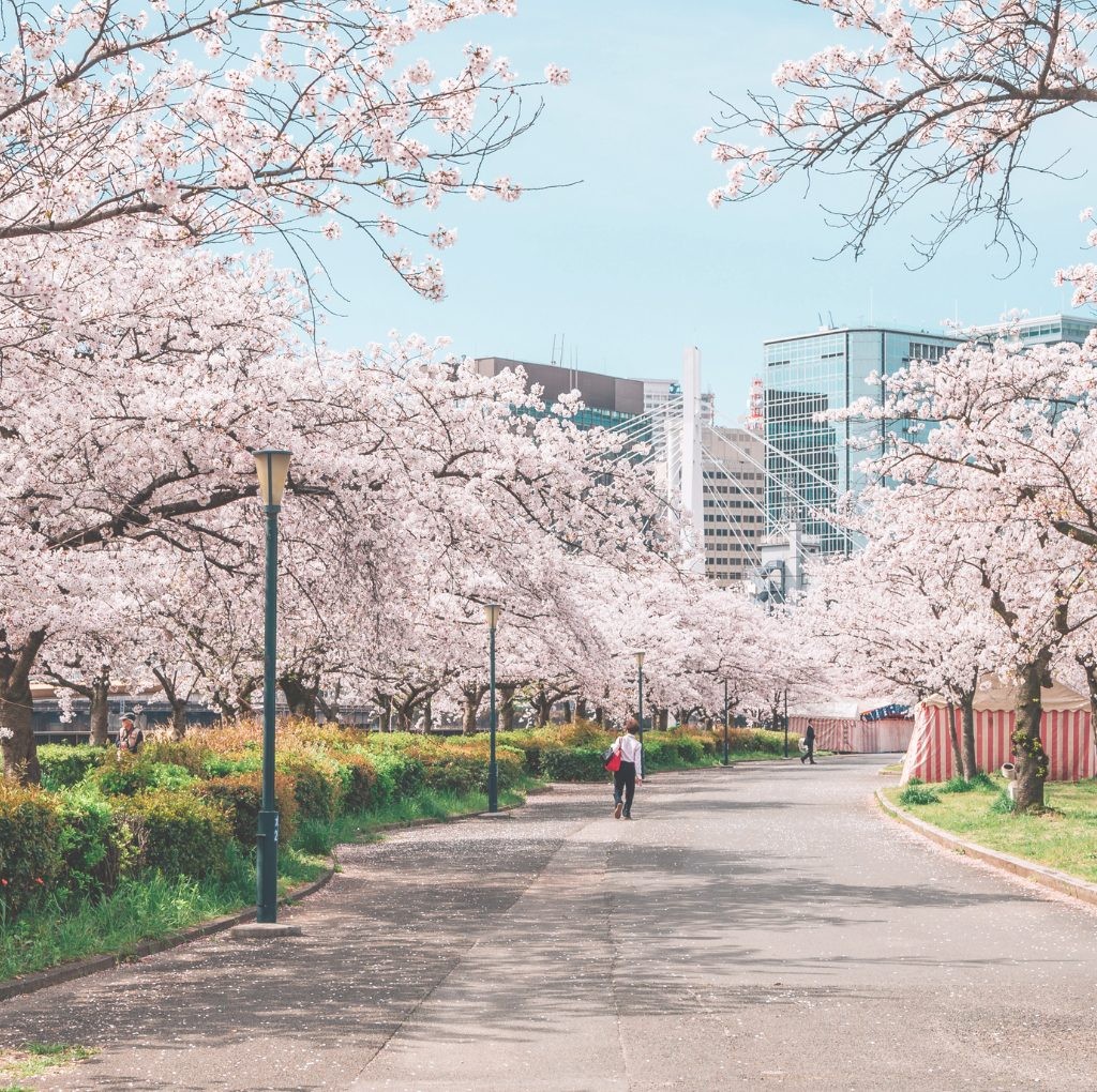 Stadt Nagano
